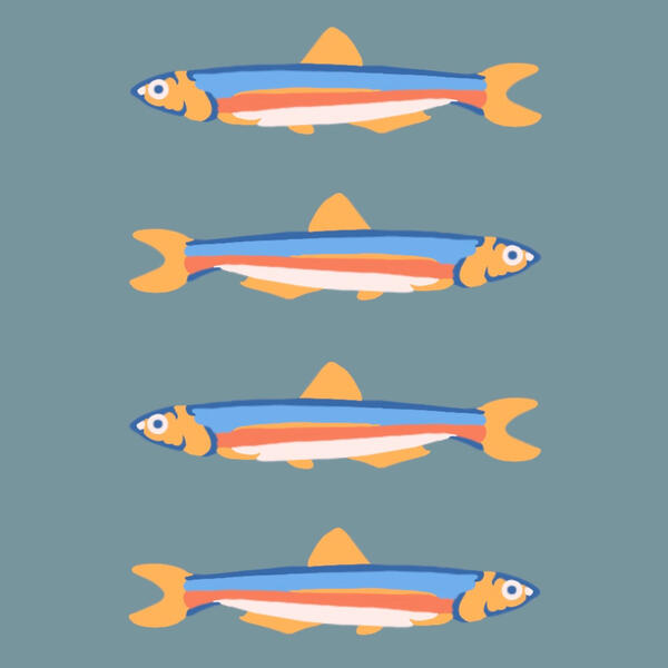 Print Design
